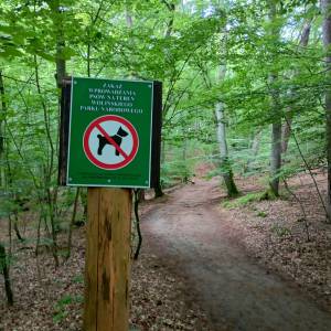 Parking Kwasowo w Międzyzdrojach - parking kwasowo w miedzyzdrojach 29