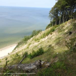 Wzgórze Gosań - gosan widok klifu z punktu widokowego