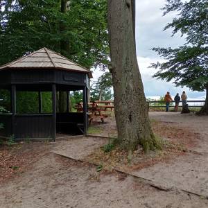 Wzgórze Gosań - wzgorze gosan 11