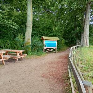 Wzgórze Gosań - wzgorze gosan 19