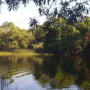 Chęcińsko-Kielecki Park Krajobrazowy - checinsko kielecki park krajobrazowy 2