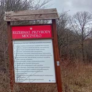 Rezerwat przyrody Moczydło - rezerwat przyrody moczydlo 2