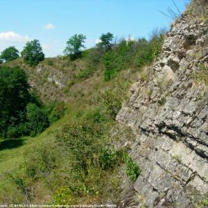 Rezerwat przyrody Wąwóz w Skałach - rezerwat przyrody wawoz w skalach 1