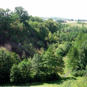 Rezerwat przyrody Wąwóz w Skałach - rezerwat przyrody wawoz w skalach 2