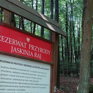 Rezerwat przyrody Jaskinia Raj - rezerwat przyrody jaskinia raj 8