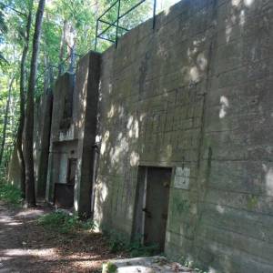 Ścieżka Przyrodniczo-Historyczna "Biała Góra" - sciezka przyrodniczo historyczna 5
