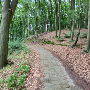 Ścieżka Przyrodniczo-Historyczna "Biała Góra" - sciezka przyrodniczo historyczna biala gora 11