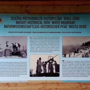 Ścieżka Przyrodniczo-Historyczna "Biała Góra" - sciezka przyrodniczo historyczna biala gora 13