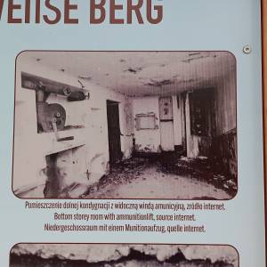 Ścieżka Przyrodniczo-Historyczna "Biała Góra" - sciezka przyrodniczo historyczna biala gora 23