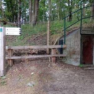 Ścieżka Przyrodniczo-Historyczna "Biała Góra" - sciezka przyrodniczo historyczna biala gora 28