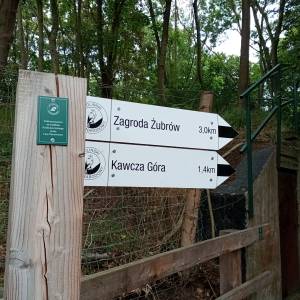 Ścieżka Przyrodniczo-Historyczna "Biała Góra" - sciezka przyrodniczo historyczna biala gora 29