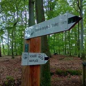 Ścieżka Przyrodniczo-Historyczna "Biała Góra" - sciezka przyrodniczo historyczna biala gora 5