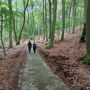 Ścieżka Przyrodniczo-Historyczna "Biała Góra" - sciezka przyrodniczo historyczna biala gora 9