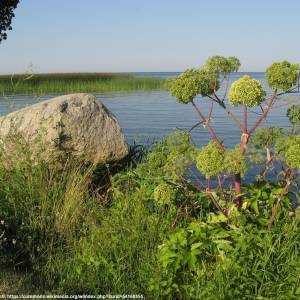Zalew Szczeciński - zalew szczecinski sulomino panoramio