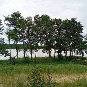 Jezioro Domysłowskie - jezioro domyslowskie 5
