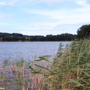 Jezioro Domysłowskie - jezioro domyslowskie g