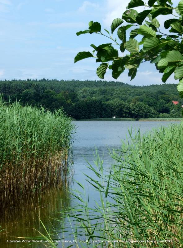 Jezioro Żółwińskie - pl zolwinskie lake