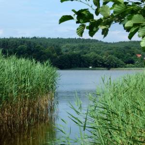 Jezioro Żółwińskie - pl zolwinskie lake