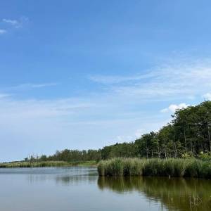 Jezioro Koprowo - jezioro koprowo 3