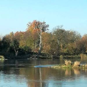 Jezioro Koprowo - jezioro koprowo 6