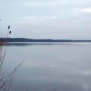 Jezioro Koprowo - jezioro koprowo 7