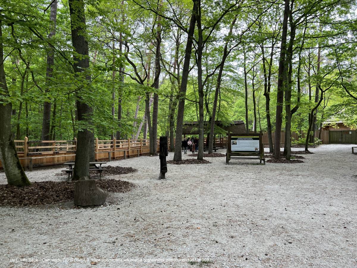 Zielony Szlak Wolińskiego Parku Narodowego - nationalpark wolin bisonfarm lub 2023 05 20 img01