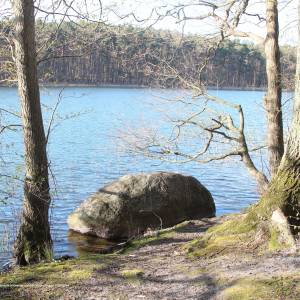 Zielony Szlak Wolińskiego Parku Narodowego - czajcze lake wydrzy glaz 2019 p02