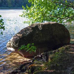 Zielony Szlak Wolińskiego Parku Narodowego - wydrzy glaz jezioro czajcze