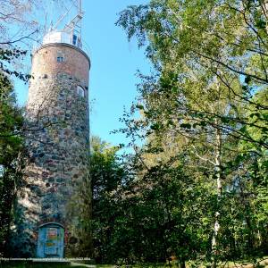 Czerwony Szlak Wolińskiego Parku Narodowego - kikut panoramio