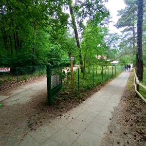 Obszar ochrony ścisłej im. prof. Mariana Raciborskiego - obszar ochrony scislej im prof mariana raciborskiego 5