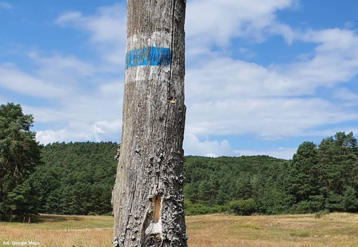 Obszar ochrony ścisłej im. dr. Bogdana Dyakowskiego - obszar ochrony scislej im dr bogdana dyakowskiego