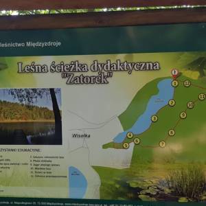 Ścieżka dydaktyczna „Zatorek - sciezka dydaktyczna zatorek3