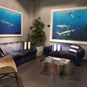 Oceanarium Międzyzdroje - oceanarium miedzyzdroje 10