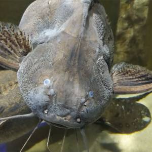 Oceanarium Międzyzdroje - oceanarium miedzyzdroje 6