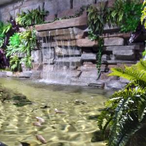 Oceanarium Międzyzdroje - oceanarium miedzyzdroje 8