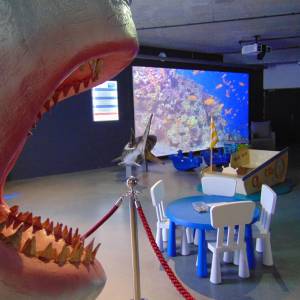 Oceanarium Międzyzdroje - oceanarium miedzyzdroje 9