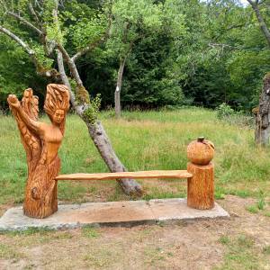 Żywotnik olbrzymi w Warnowie - zywotnik olbrzymi w warnowie 1