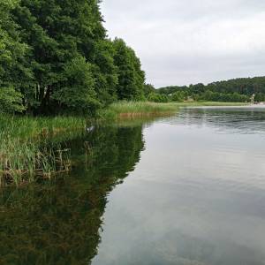 Jezioro Wisełka - jezioro wiselka 8