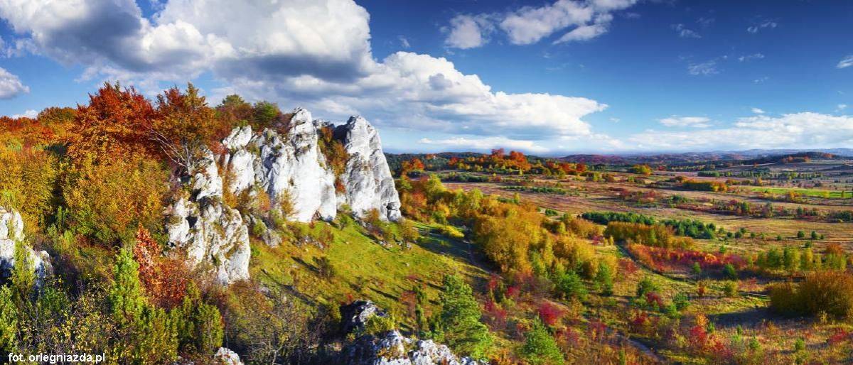 Jura Krakowsko-Częstochowska (Wyżyna Krakowsko-Częstochowska) - 16 skaly rzedkowickie