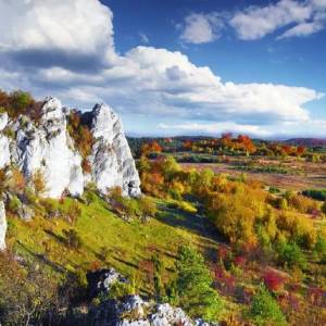 Jura Krakowsko-Częstochowska (Wyżyna Krakowsko-Częstochowska) - 16 skaly rzedkowickie