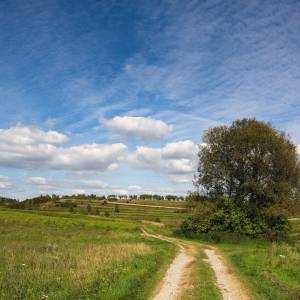 Jura Krakowsko-Częstochowska (Wyżyna Krakowsko-Częstochowska) - landscape 1694521 1920