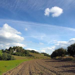 Jura Krakowsko-Częstochowska (Wyżyna Krakowsko-Częstochowska) - landscape 1694523 1920