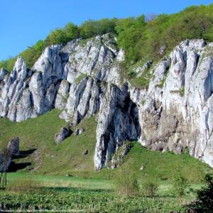 Jura Krakowsko-Częstochowska (Wyżyna Krakowsko-Częstochowska) - opn skala rekawica