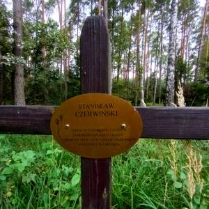 Miejsce zamordowania leśniczego Stanisława Czerwińskiego - miejsce zamordowania lesniczego stanislawa czerwinskiego 9