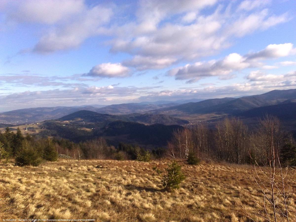 Beskid Makowski - kiczora wido na beskid makowski