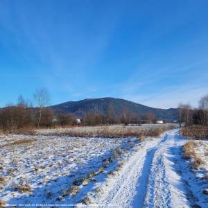 Beskid Makowski - dzialek mountain 2