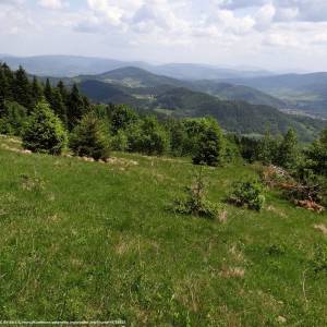 Beskid Makowski - kiczora bm3 1