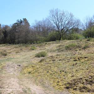 Park Miejski w Wolinie - wzgorze wisielcow 2019 p01