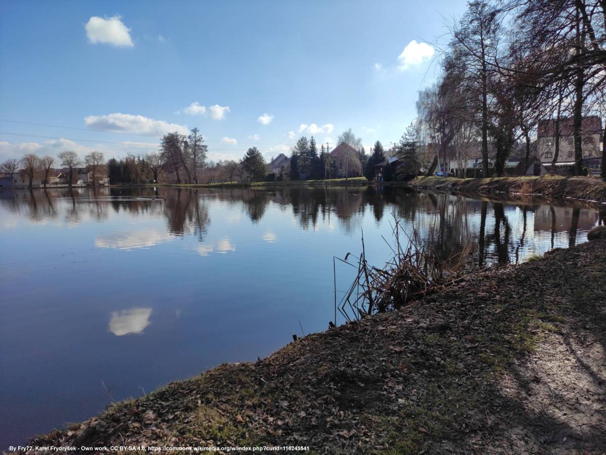 Staw Trzeciok w Tworkowie - staw trzeciok w tworkowie 1