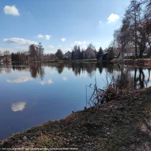 Staw Trzeciok w Tworkowie - staw trzeciok w tworkowie 1